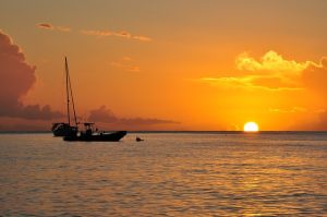 activité Guadeloupe