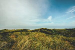 prix d’une location sur l’île de Ré