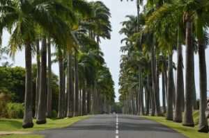 guadeloupe