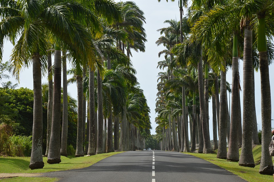 guadeloupe