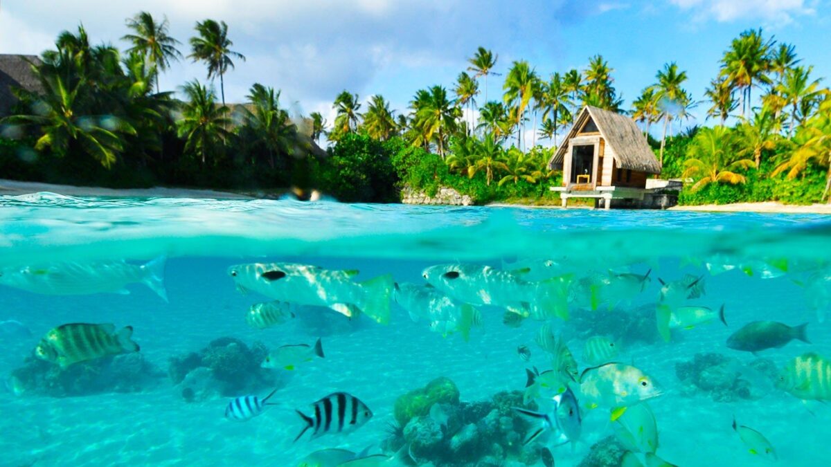 partir bora bora