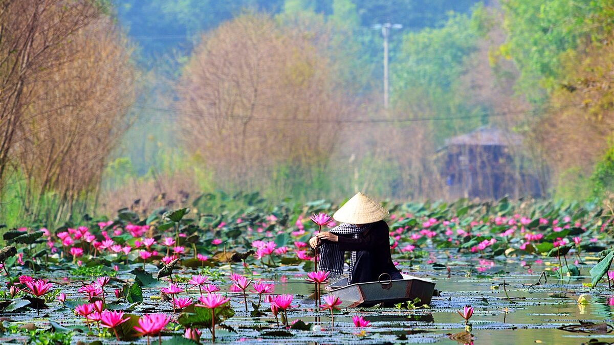 Vietnam