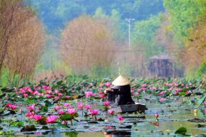 Vietnam