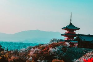 visiter japon