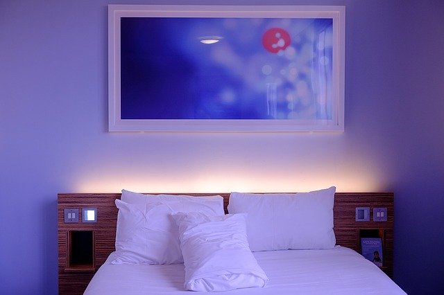 punaises de lit hotel