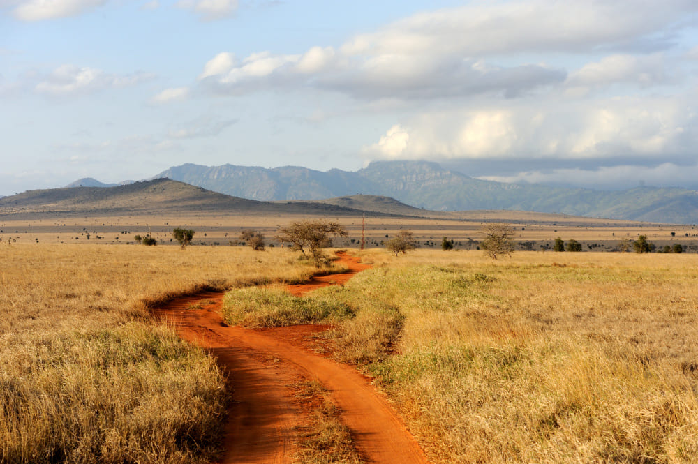 voyage en Namibie