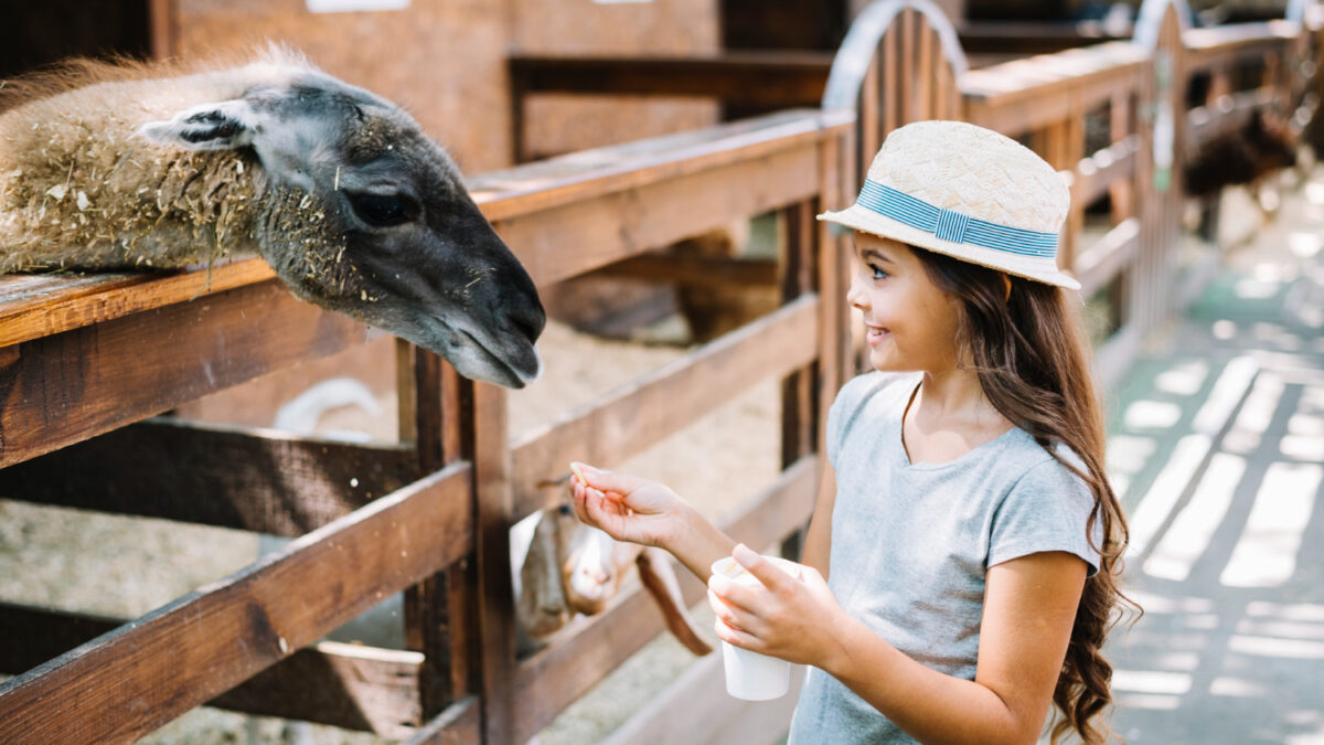 meilleur zoo de france