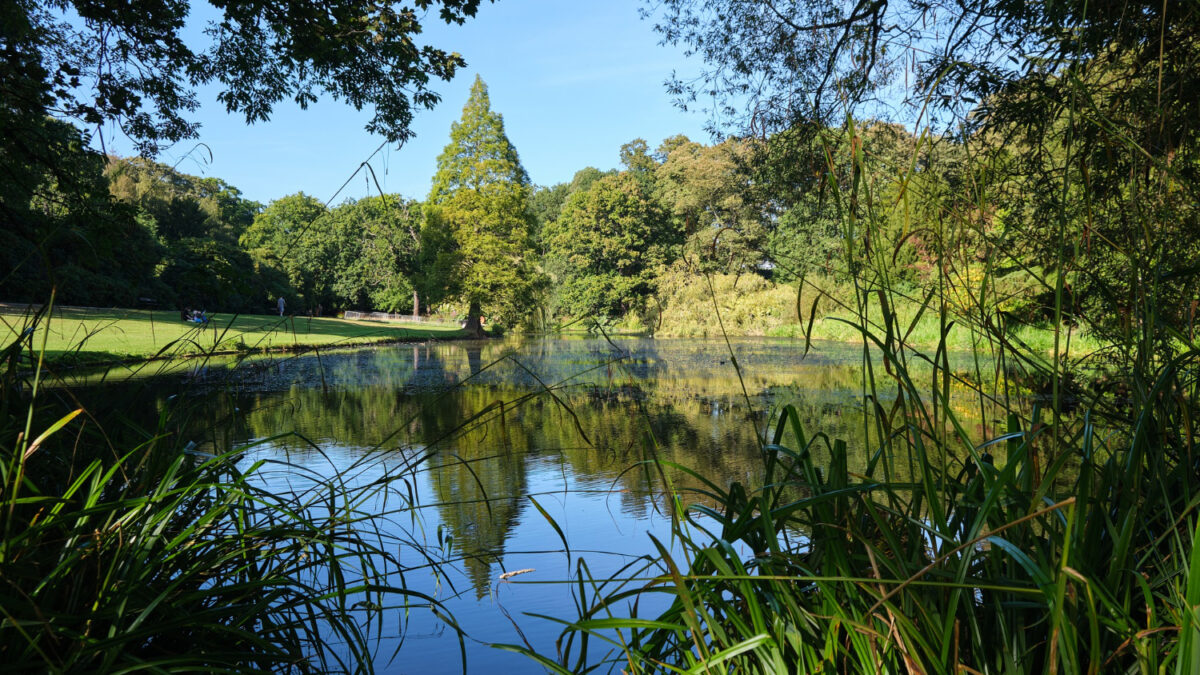 parc naturel régional du morvan