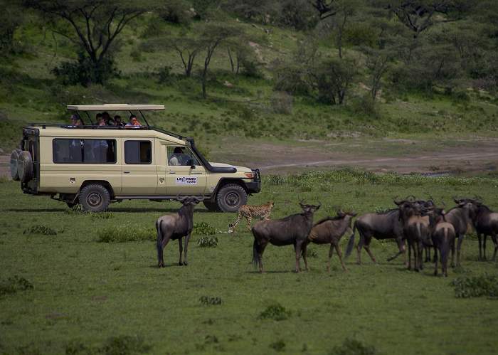 comment preparer un voyage pour la tanzanie